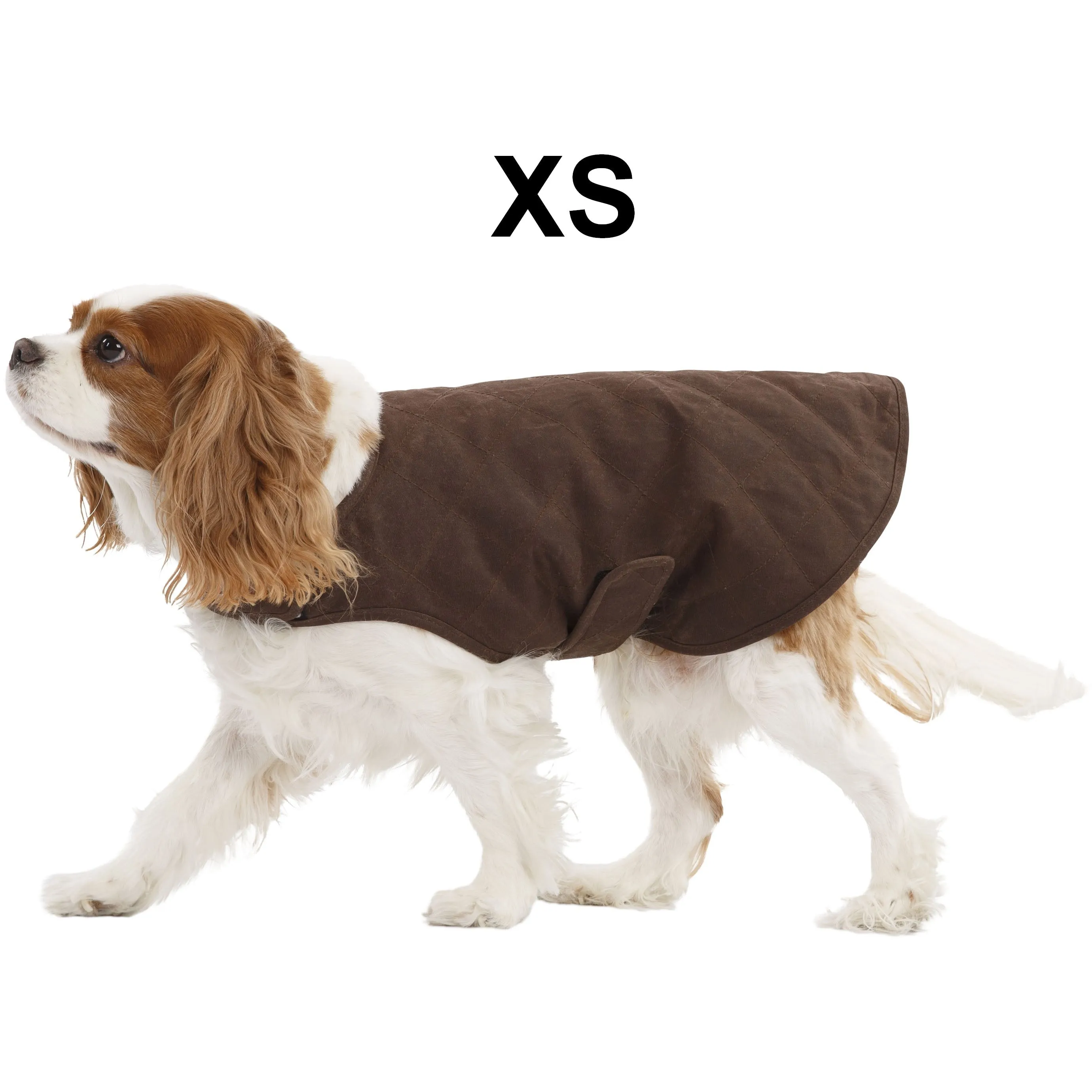 Artemis Waxed Quilted Water Resistant Dog Jacket