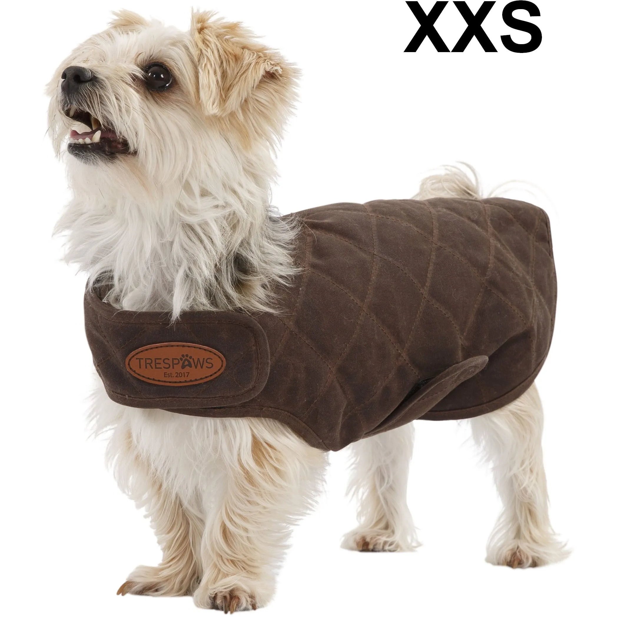 Artemis Waxed Quilted Water Resistant Dog Jacket