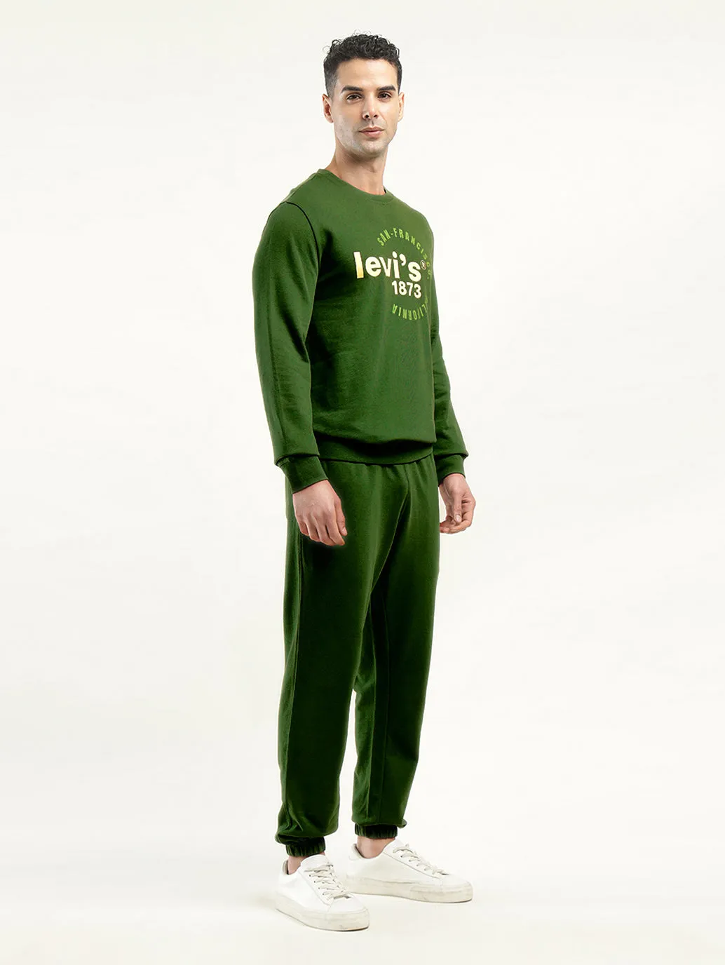Men's Green Regular Fit Trousers