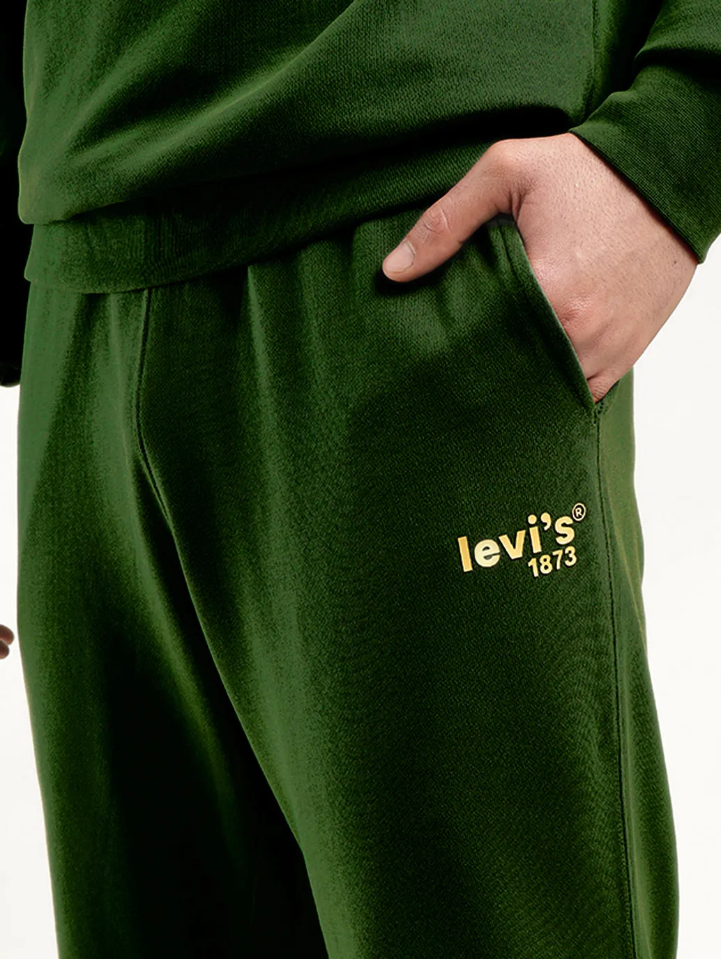 Men's Green Regular Fit Trousers